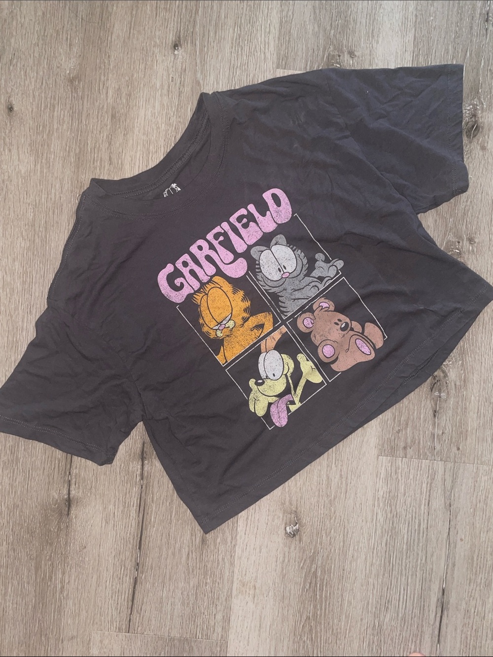 Garfield Cropped Graphic Tee Dark Gray Cartoon T-Shirt | Women’s Size Large